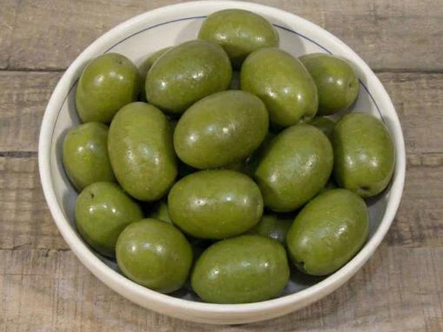 Olive Mammouth